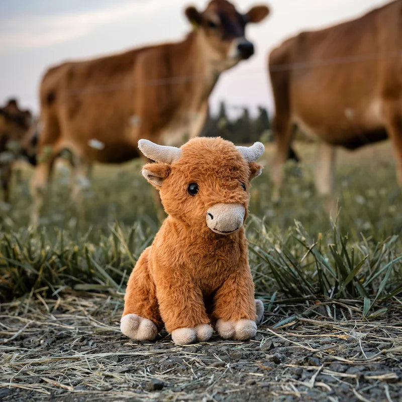 Mini Highland Cow SnugglePal SnugglePals